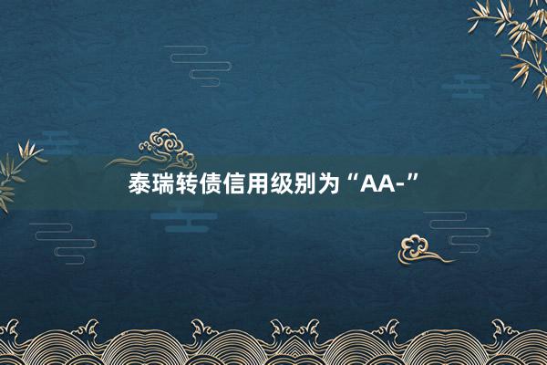 泰瑞转债信用级别为“AA-”