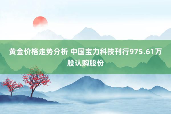 黄金价格走势分析 中国宝力科技刊行975.61万股认购股份