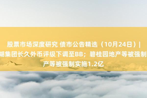 股票市场深度研究 债市公告精选（10月24日）| 惠誉将龙湖集团长久外币评级下调至BB；碧桂园地产等被强制实施1.2亿