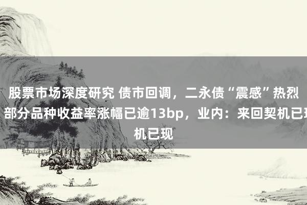 股票市场深度研究 债市回调，二永债“震感”热烈，部分品种收益率涨幅已逾13bp，业内：来回契机已现