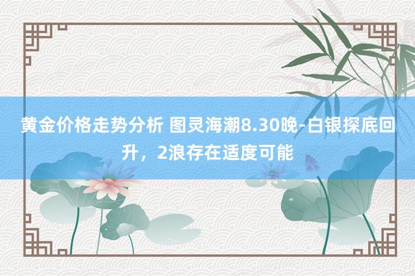 黄金价格走势分析 图灵海潮8.30晚-白银探底回升，2浪存在适度可能