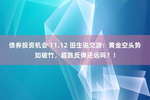 债券投资机会 11.12 田生说交游：黄金空头势如破竹，超跌反弹还远吗？！