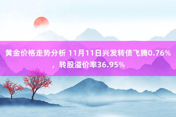 黄金价格走势分析 11月11日兴发转债飞腾0.76%，转股溢价率36.95%