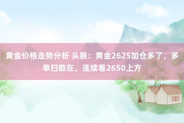 黄金价格走势分析 头狼：黄金2625加仓多了，多单扫数在，连续看2650上方