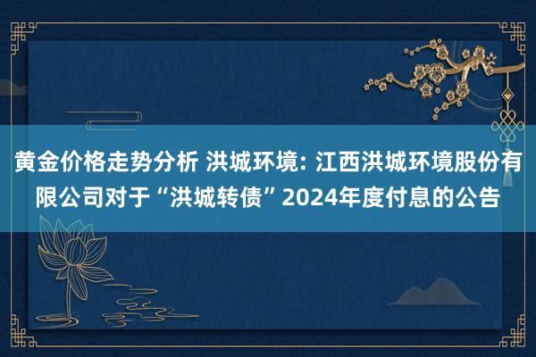 黄金价格走势分析 洪城环境: 江西洪城环境股份有限公司对于“洪城转债”2024年度付息的公告