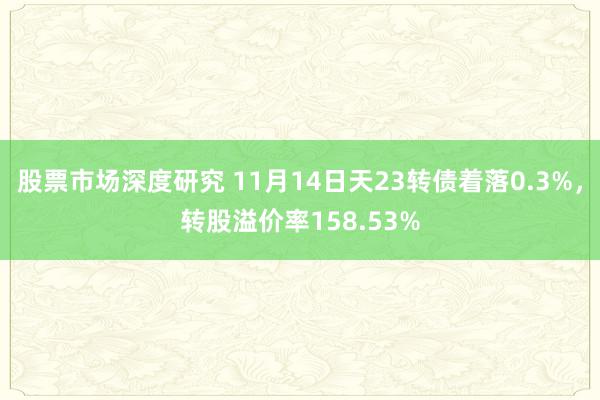 股票市场深度研究 11月14日天23转债着落0.3%，转股溢价率158.53%