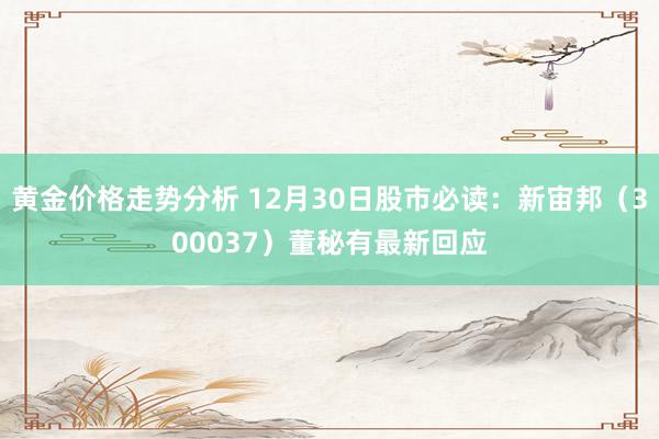 黄金价格走势分析 12月30日股市必读：新宙邦（300037）董秘有最新回应