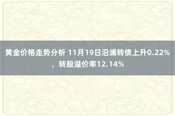 黄金价格走势分析 11月19日沿浦转债上升0.22%，转股溢价率12.14%