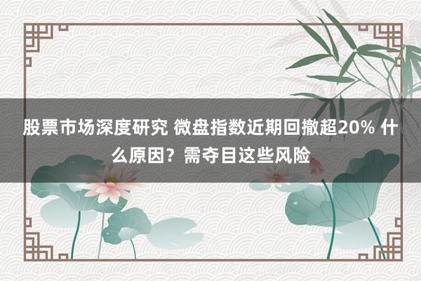 股票市场深度研究 微盘指数近期回撤超20% 什么原因？需夺目这些风险