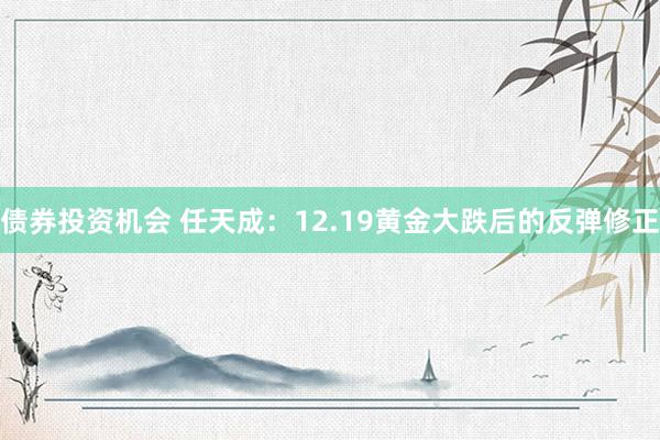 债券投资机会 任天成：12.19黄金大跌后的反弹修正