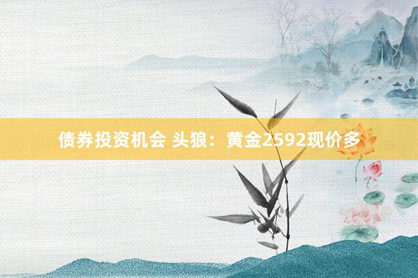 债券投资机会 头狼：黄金2592现价多