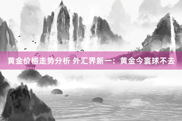 黄金价格走势分析 外汇界新一：黄金今寰球不去