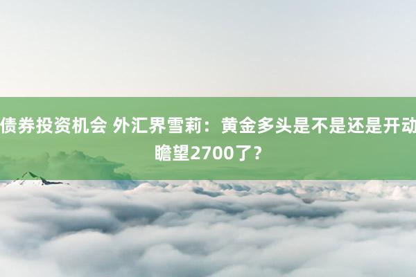 债券投资机会 外汇界雪莉：黄金多头是不是还是开动瞻望2700了？