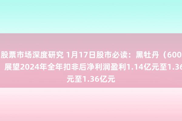 股票市场深度研究 1月17日股市必读：黑牡丹（600510）展望2024年全年扣非后净利润盈利1.14亿元至1.36亿元