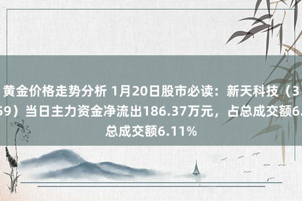 黄金价格走势分析 1月20日股市必读：新天科技（300259）当日主力资金净流出186.37万元，占总成交额6.11%