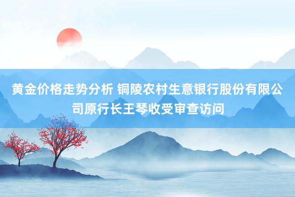 黄金价格走势分析 铜陵农村生意银行股份有限公司原行长王琴收受审查访问