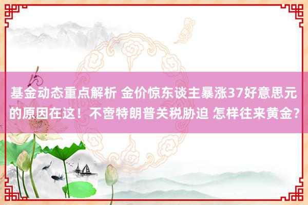 股票市场深度研究 黄金交游领导：特朗普“挥舞关税大棒”，金价大涨刷新逾两个月高点