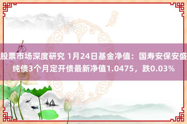 股票市场深度研究 1月24日基金净值：国寿安保安盛纯债3个月定开债最新净值1.0475，跌0.03%