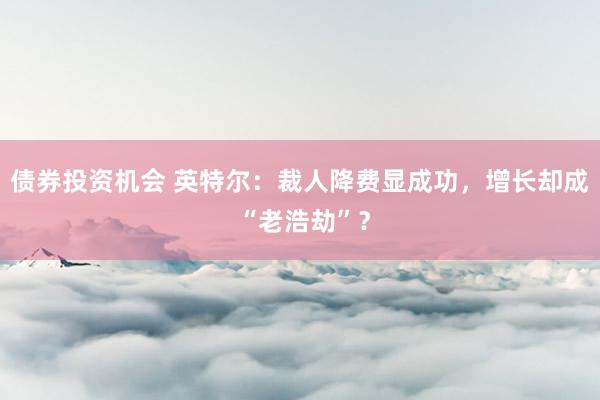 债券投资机会 英特尔：裁人降费显成功，增长却成 “老浩劫”？