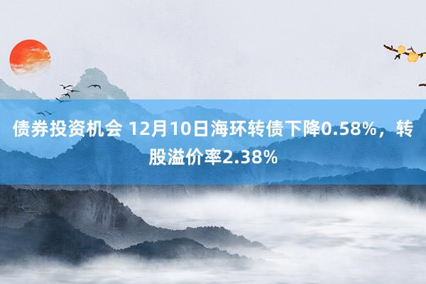 债券投资机会 12月10日海环转债下降0.58%，转股溢价率2.38%