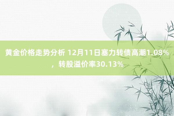 黄金价格走势分析 12月11日塞力转债高潮1.08%，转股溢价率30.13%