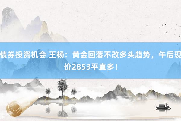 债券投资机会 王杨：黄金回落不改多头趋势，午后现价2853平直多！