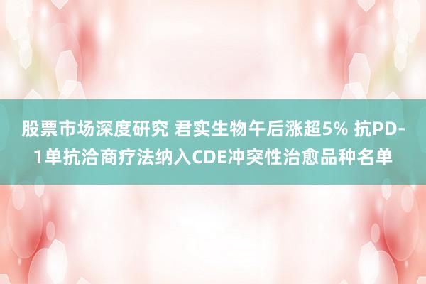 股票市场深度研究 君实生物午后涨超5% 抗PD-1单抗洽商疗法纳入CDE冲突性治愈品种名单