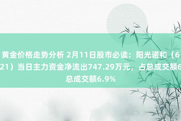 黄金价格走势分析 2月11日股市必读：阳光诺和（688621）当日主力资金净流出747.29万元，占总成交额6.9%