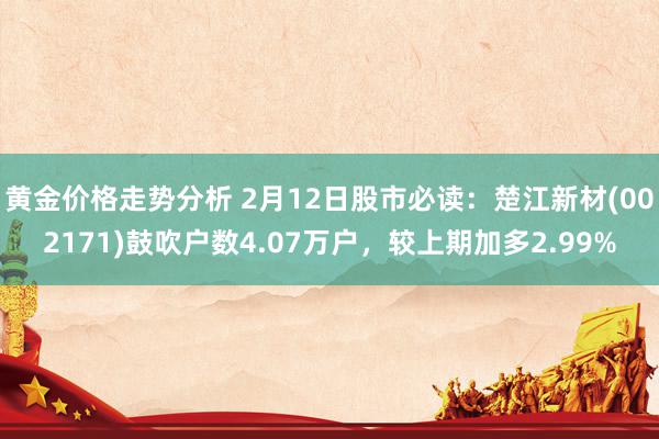 黄金价格走势分析 2月12日股市必读：楚江新材(002171)鼓吹户数4.07万户，较上期加多2.99%