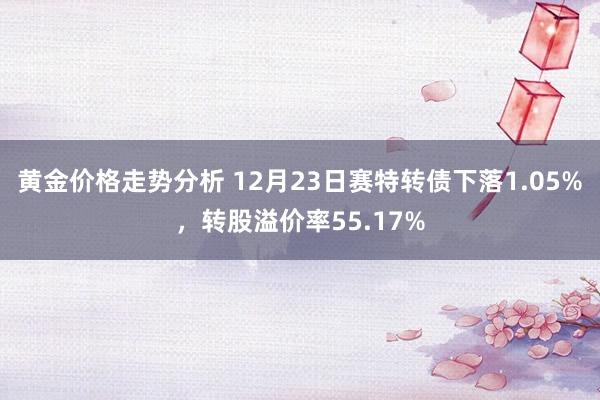 黄金价格走势分析 12月23日赛特转债下落1.05%，转股溢价率55.17%