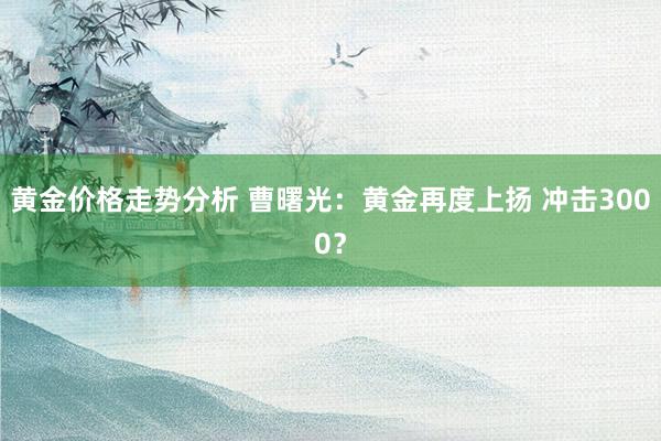 黄金价格走势分析 曹曙光：黄金再度上扬 冲击3000？