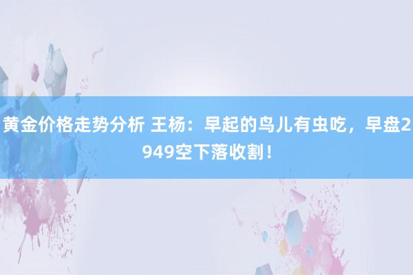 黄金价格走势分析 王杨：早起的鸟儿有虫吃，早盘2949空下落收割！