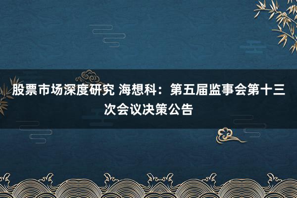 股票市场深度研究 海想科：第五届监事会第十三次会议决策公告