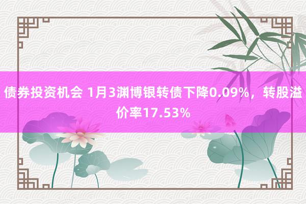 债券投资机会 1月3渊博银转债下降0.09%，转股溢价率17.53%