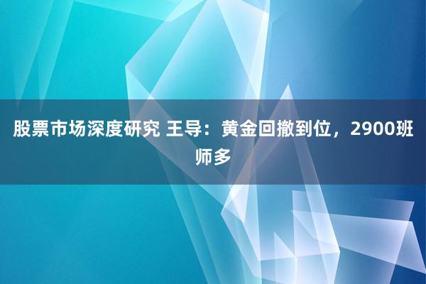 股票市场深度研究 王导：黄金回撤到位，2900班师多