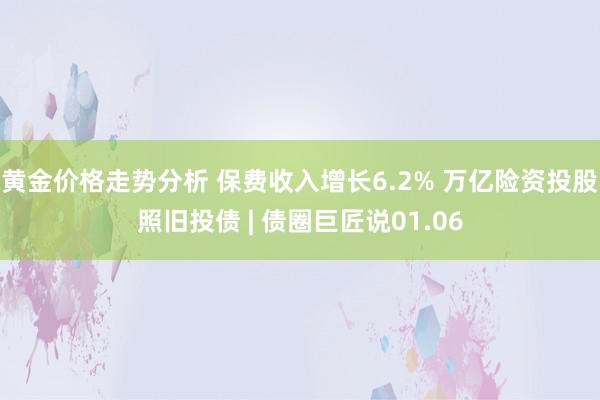 黄金价格走势分析 保费收入增长6.2% 万亿险资投股照旧投债 | 债圈巨匠说01.06