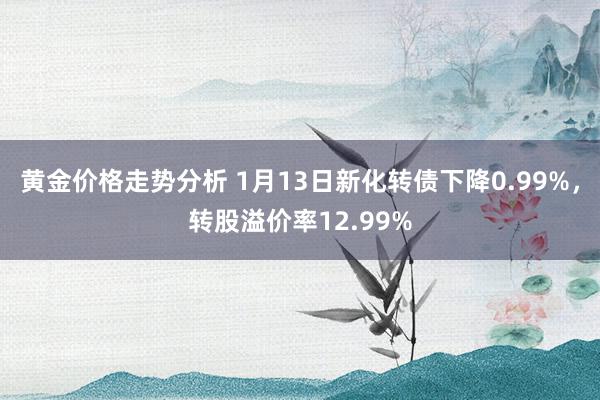 黄金价格走势分析 1月13日新化转债下降0.99%，转股溢价率12.99%